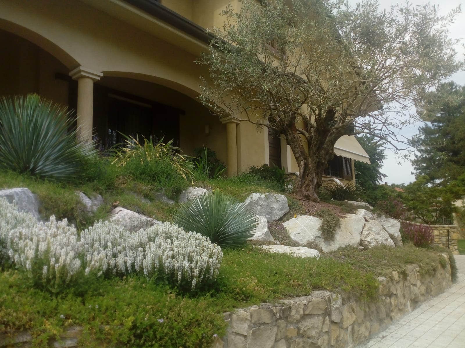 Conception de jardin